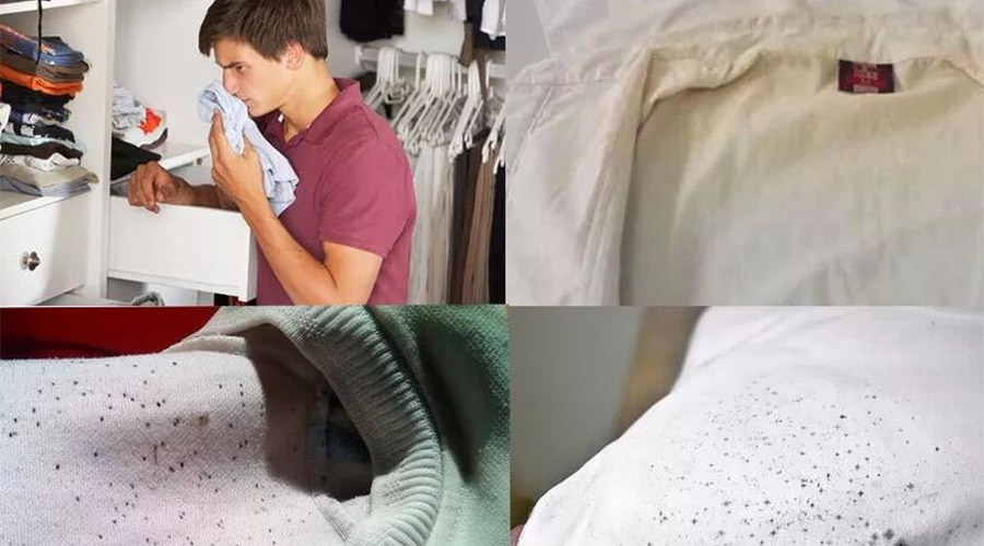 衣服護(hù)理小常識：潮濕天衣物有霉味不宜穿  該怎么辦？