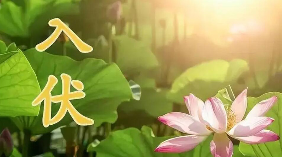 入伏天來襲！金環(huán)電器提醒大家要注意的事項(xiàng)