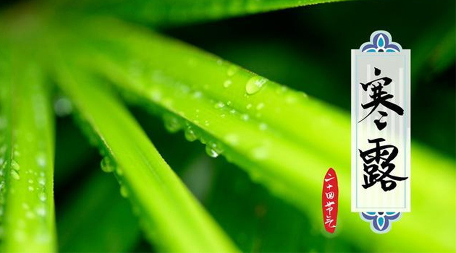 寒露時(shí)節(jié)到！金環(huán)電器提醒這些干衣事項(xiàng)要注意