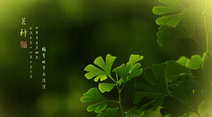 芒種時(shí)節(jié)！金環(huán)電器提醒大家的注意事項(xiàng)