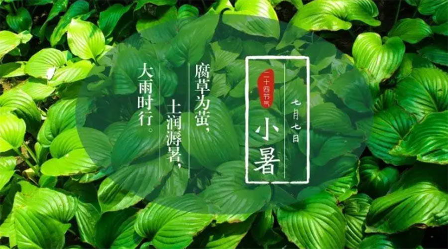小暑時節(jié)來到！金環(huán)電器提醒大家要注意的事項(xiàng)