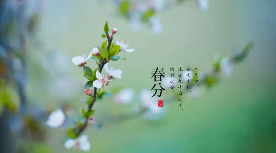 春分雨水多易生菌！金環(huán)電器提醒你衣物要注意處理