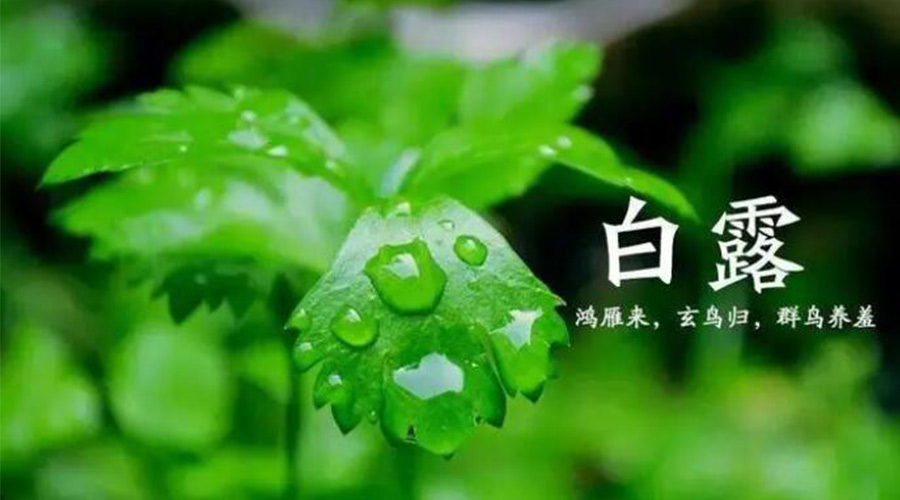 白露時(shí)節(jié)！金環(huán)電器提醒大家要注意的事項(xiàng)