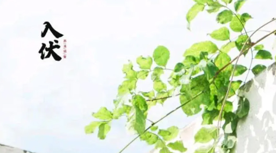 初伏時節(jié)！金環(huán)電器提醒大家要注意的事項