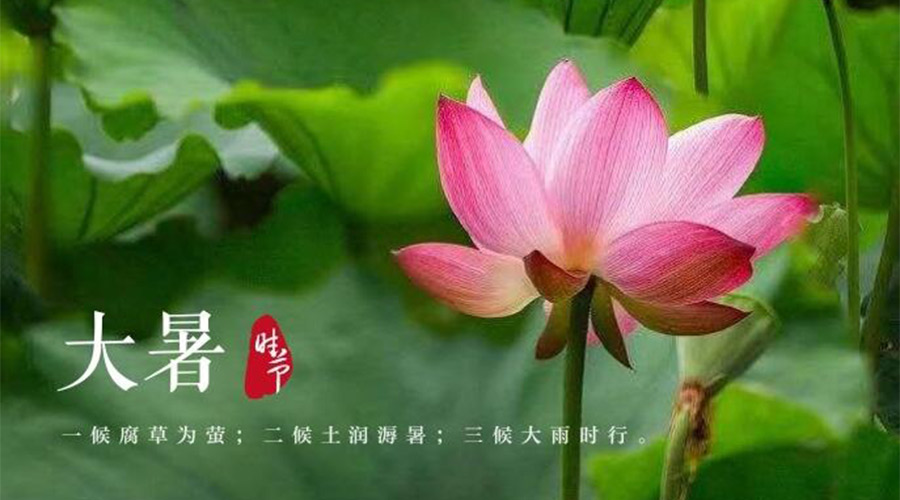 大暑時(shí)節(jié)！金環(huán)電器提醒大家要注意的事項(xiàng)