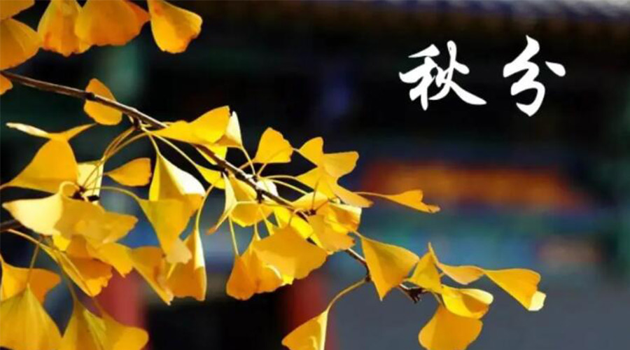 秋分時節(jié)！金環(huán)電器提醒大家要注意的事項